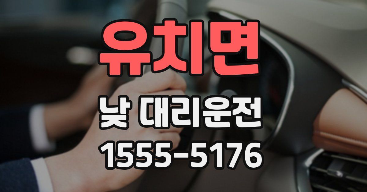 유치면 낮 대리운전