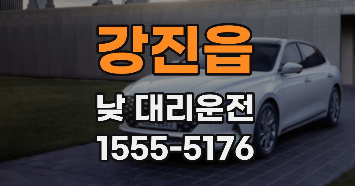 강진읍 낮 대리운전