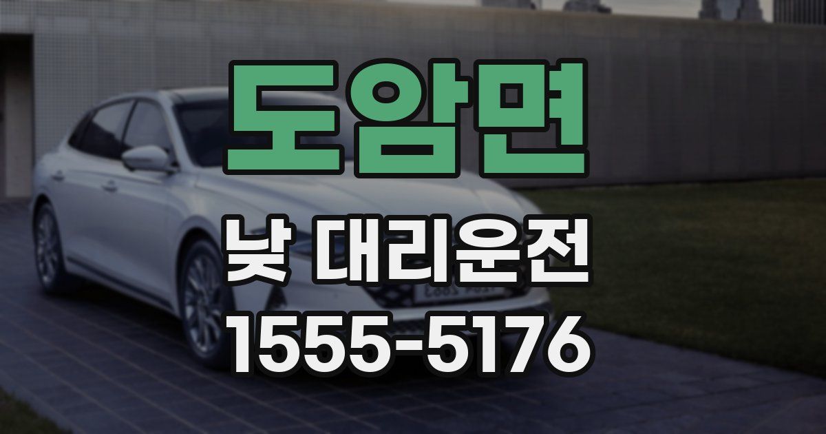 도암면 낮 대리운전