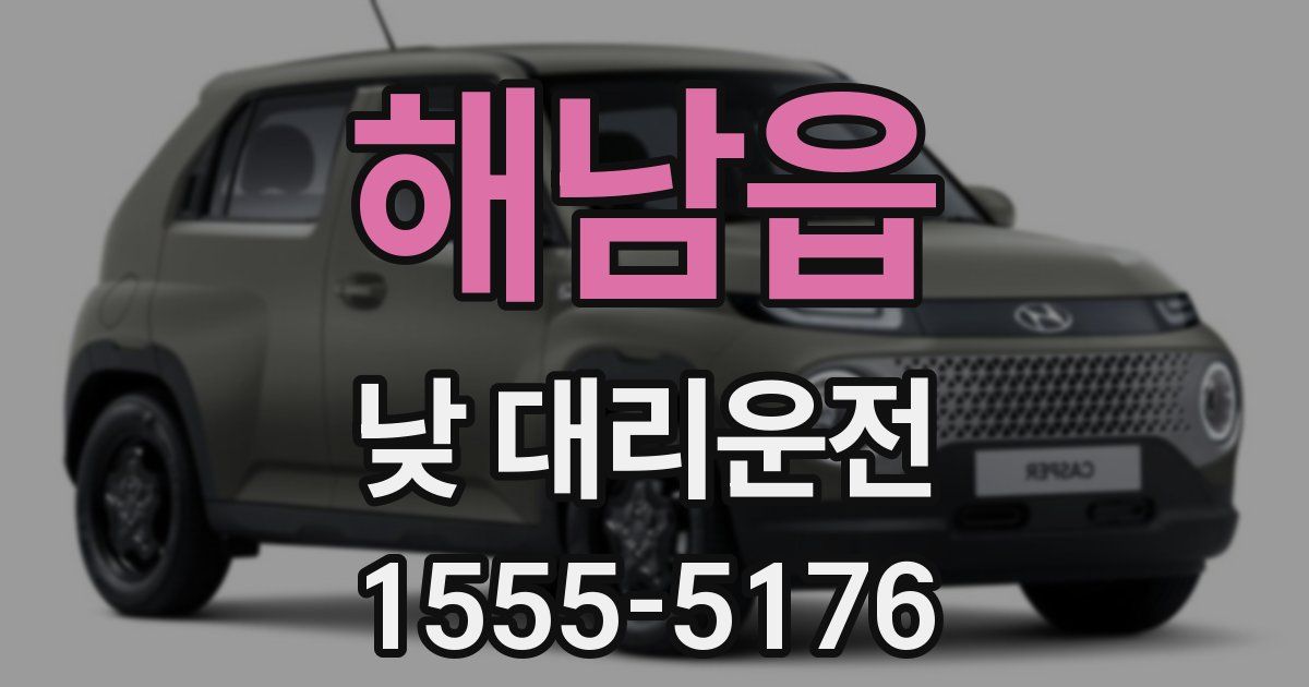 해남읍 낮 대리운전