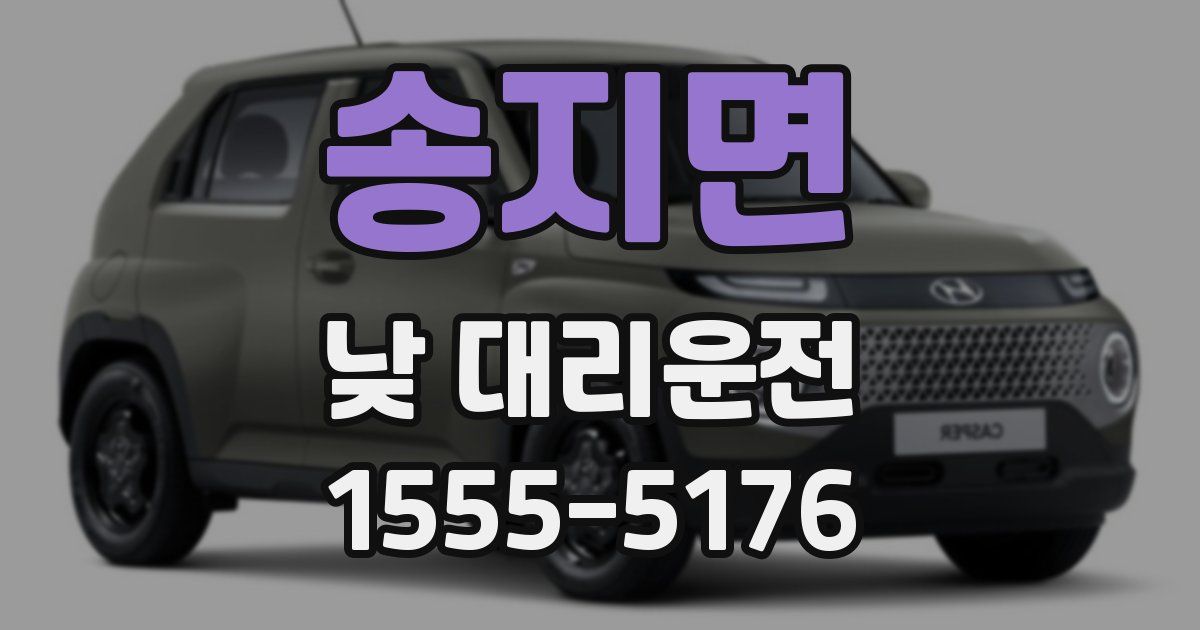 송지면 낮 대리운전