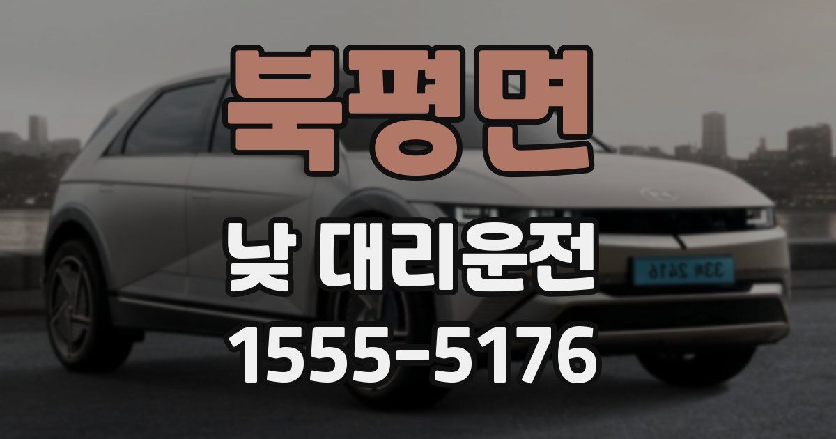 북평면 낮 대리운전