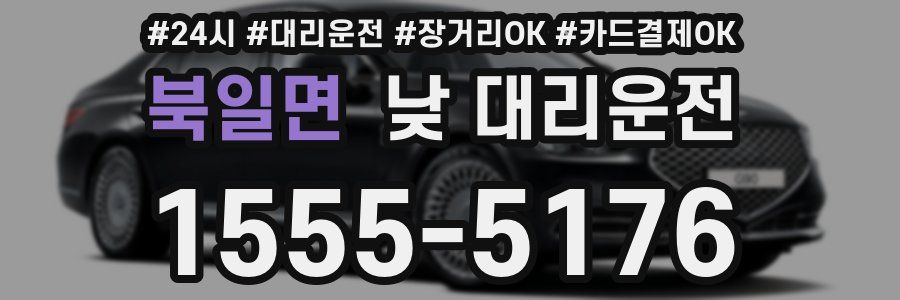 북일면 낮 대리운전