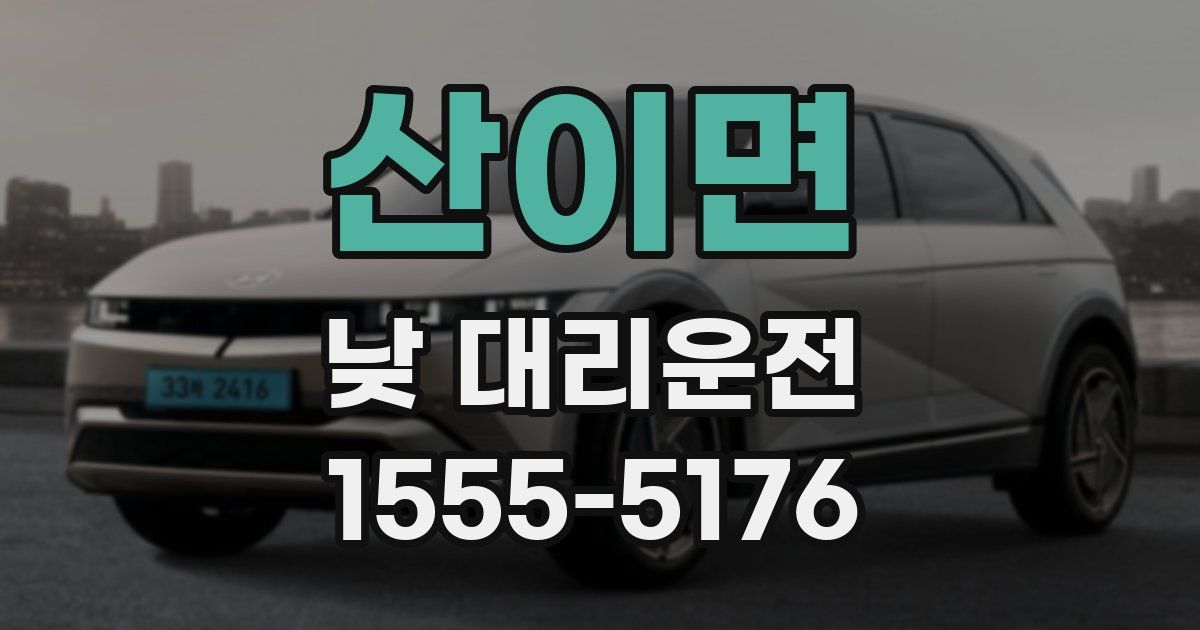산이면 낮 대리운전