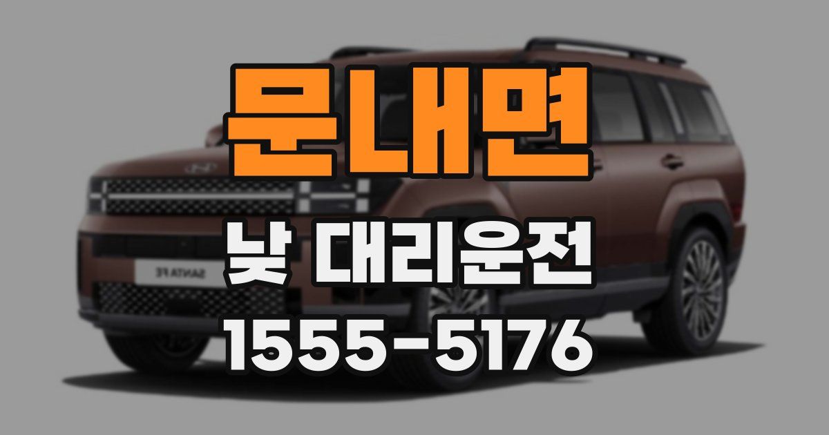 문내면 낮 대리운전
