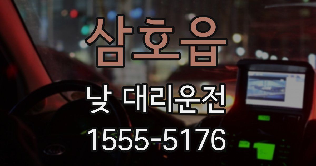 삼호읍 낮 대리운전
