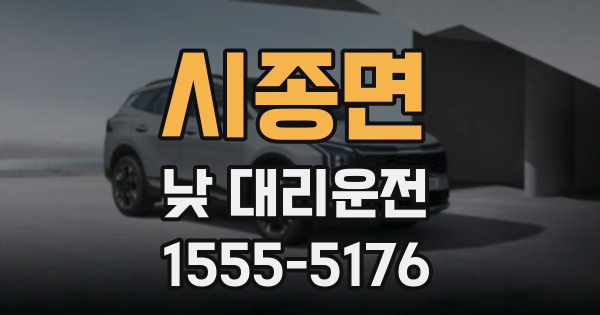 시종면 낮 대리운전