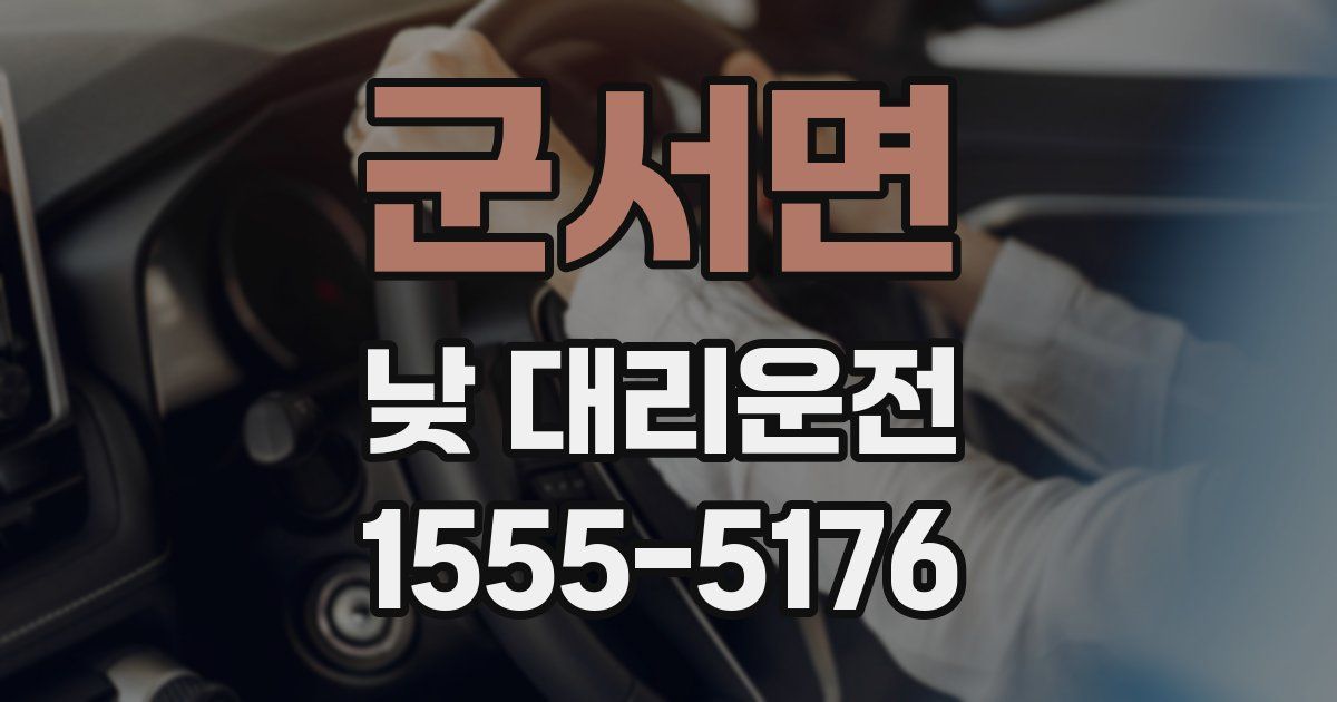군서면 낮 대리운전