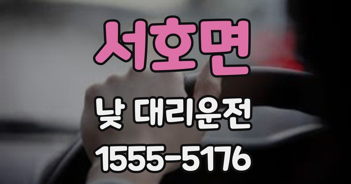 서호면 낮 대리운전