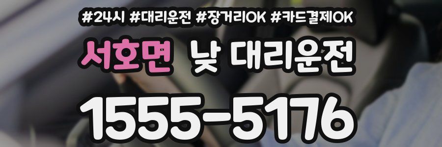 서호면 낮 대리운전