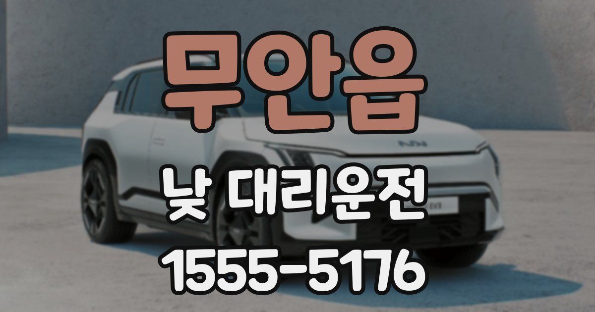 무안읍 낮 대리운전