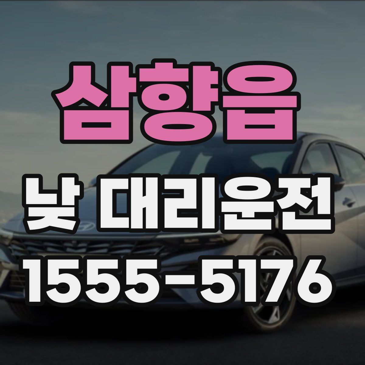 삼향읍 낮 대리운전