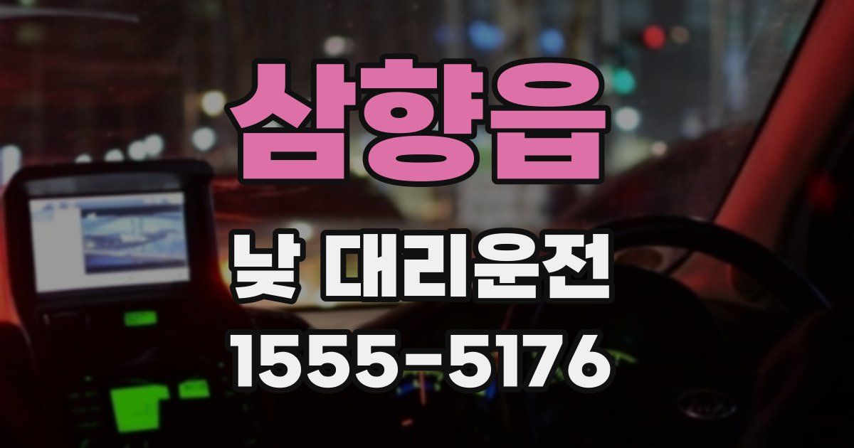 삼향읍 낮 대리운전