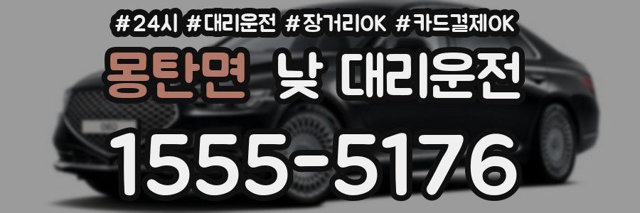 몽탄면 낮 대리운전