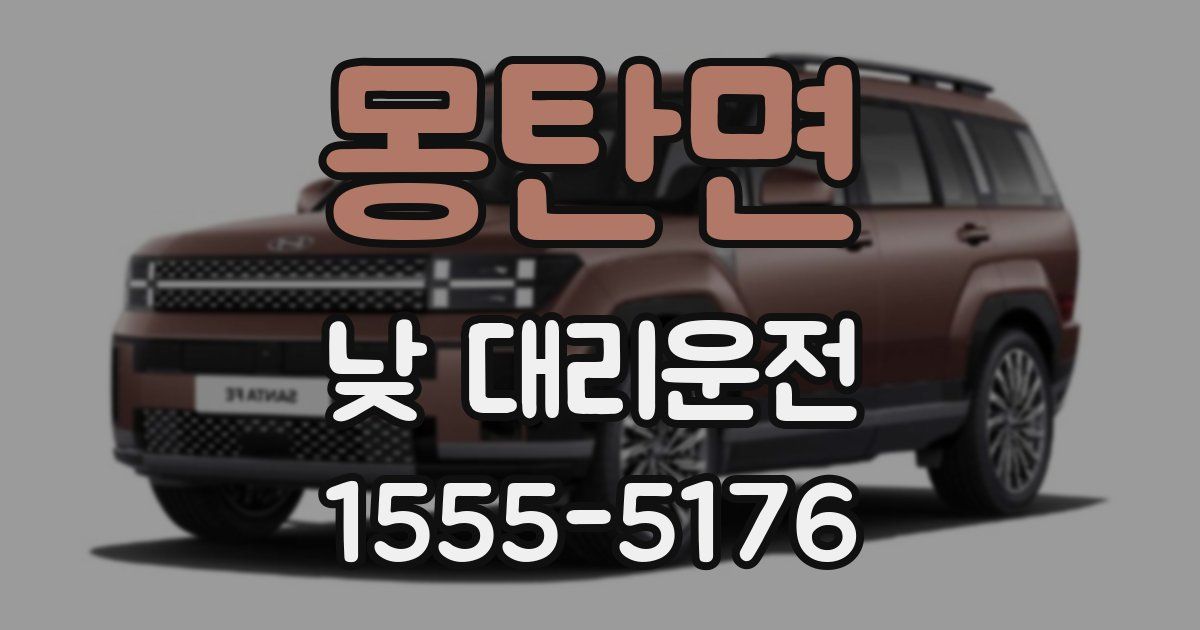 몽탄면 낮 대리운전