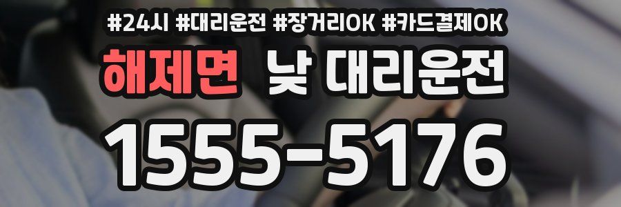해제면 낮 대리운전