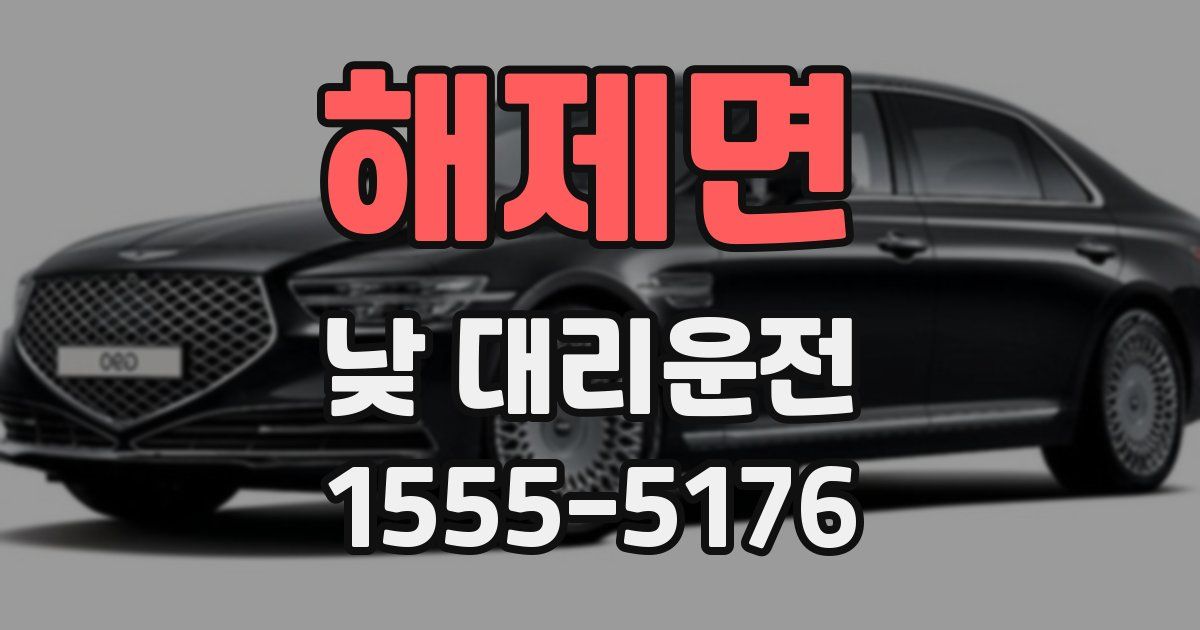 해제면 낮 대리운전