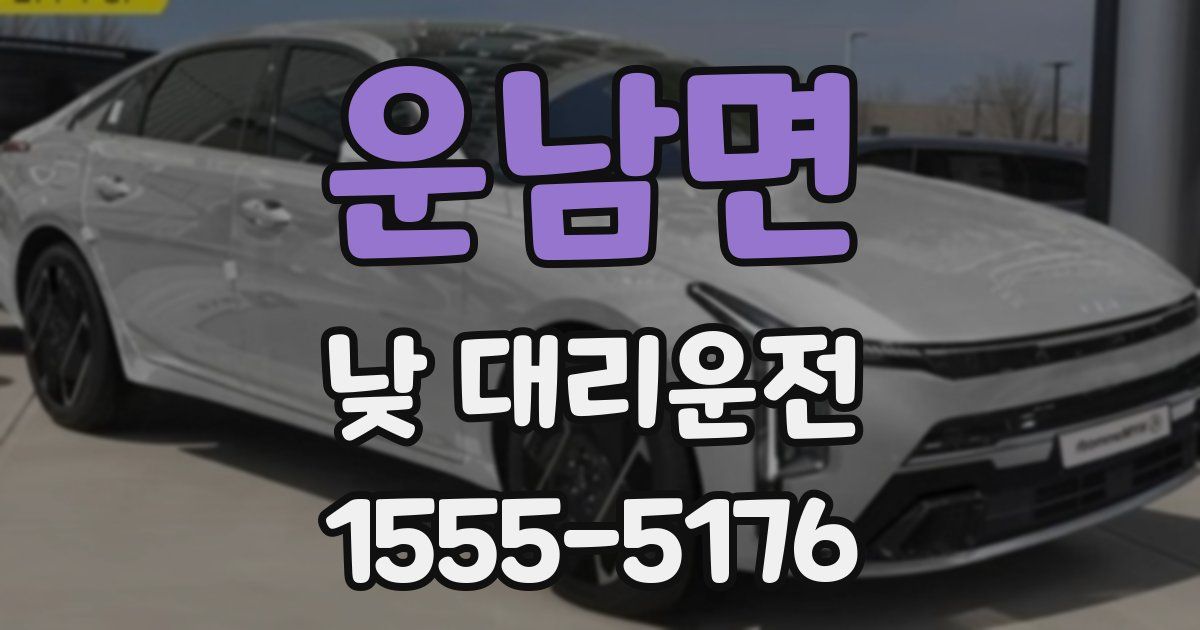 운남면 낮 대리운전