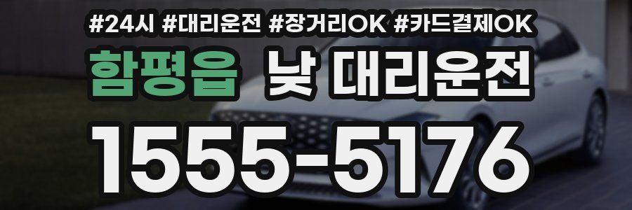 함평읍 낮 대리운전