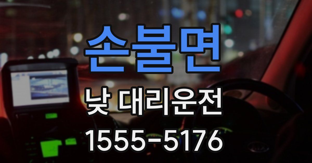손불면 낮 대리운전