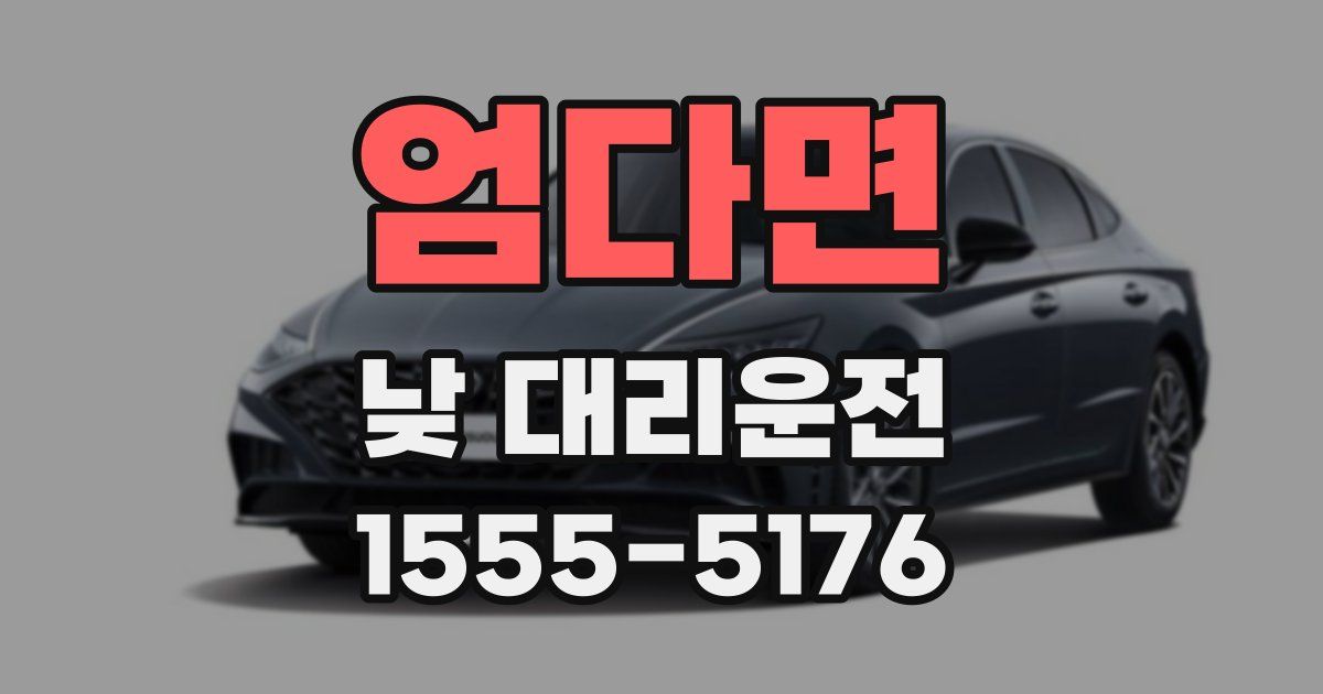 엄다면 낮 대리운전