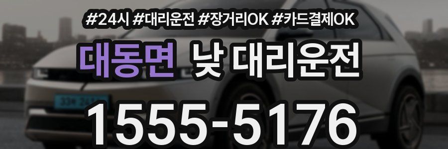 대동면 낮 대리운전