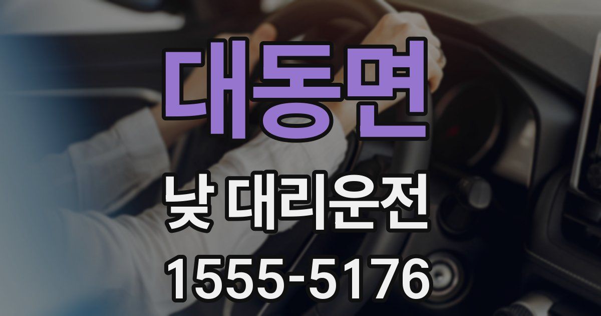대동면 낮 대리운전