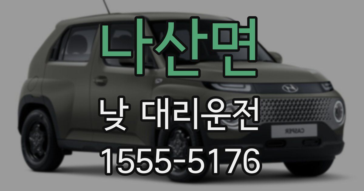 나산면 낮 대리운전