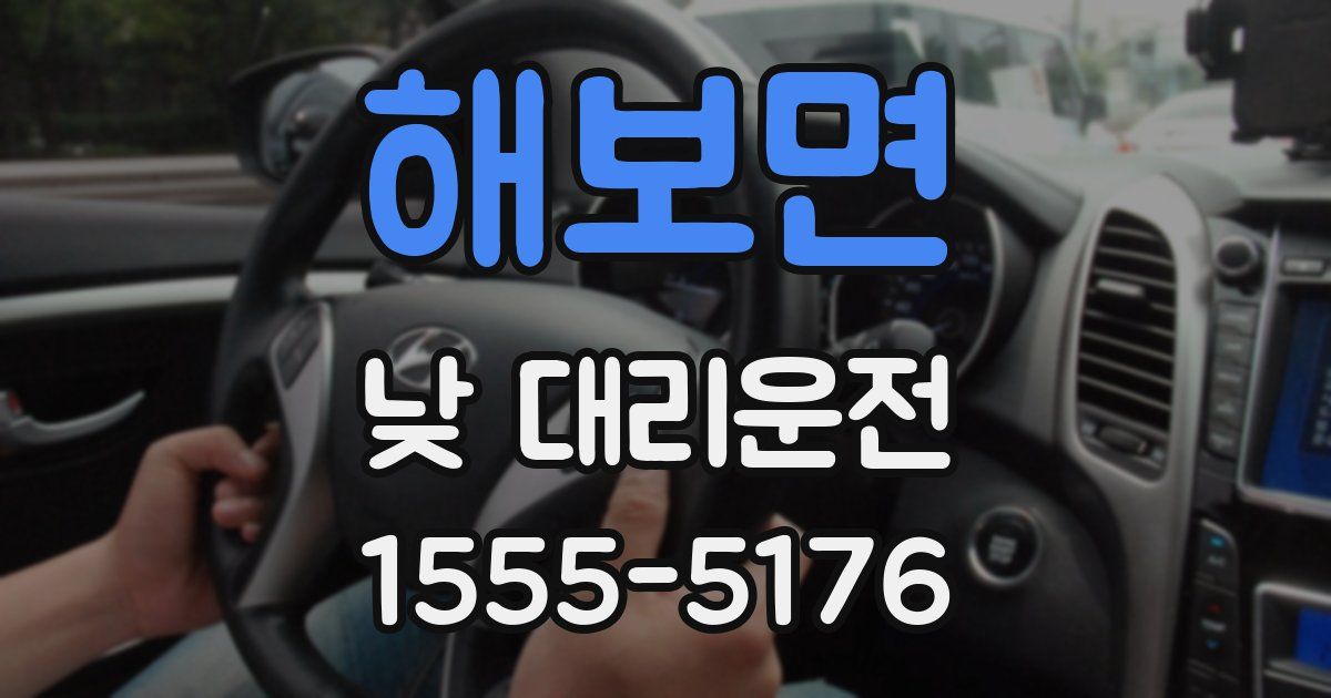 해보면 낮 대리운전