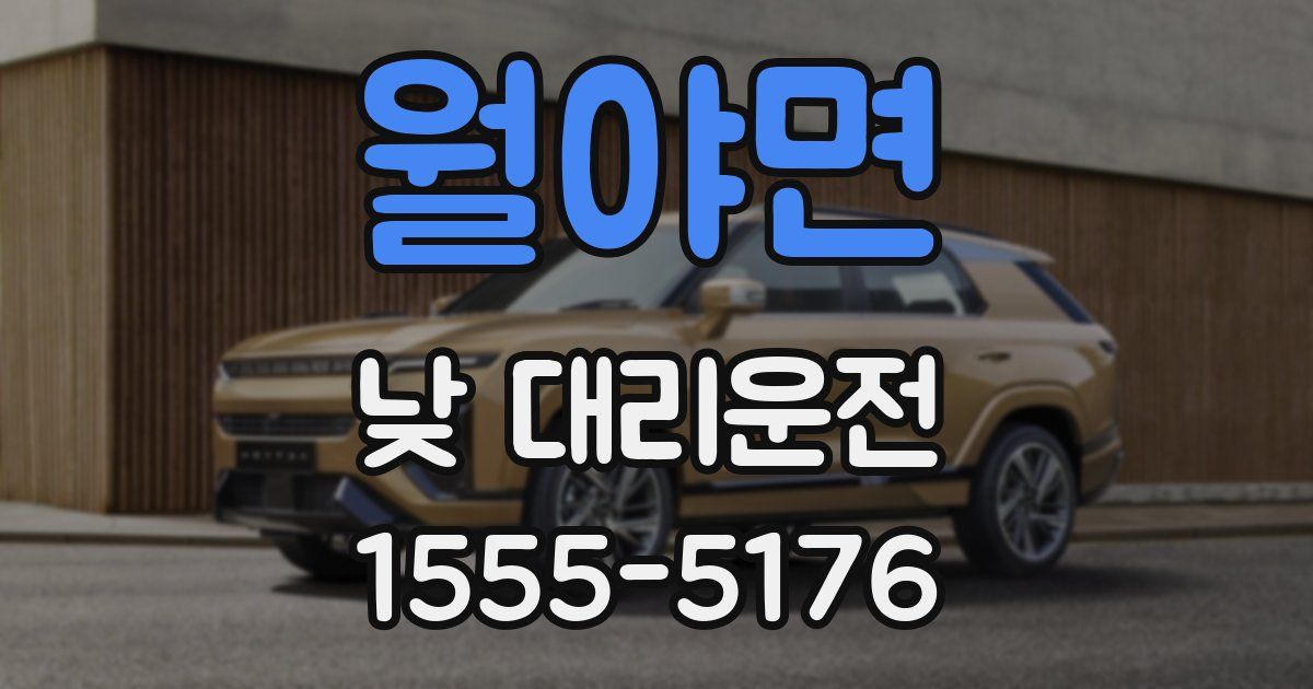 월야면 낮 대리운전