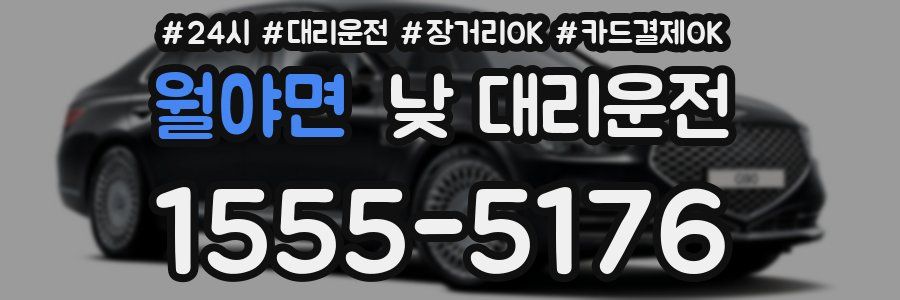 월야면 낮 대리운전