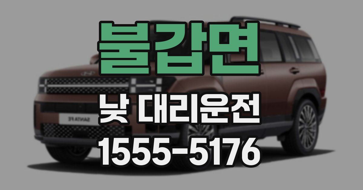 불갑면 낮 대리운전