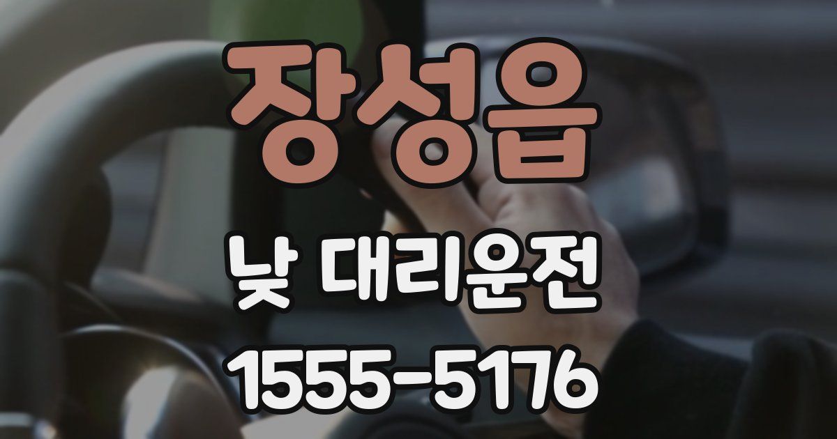 장성읍 낮 대리운전