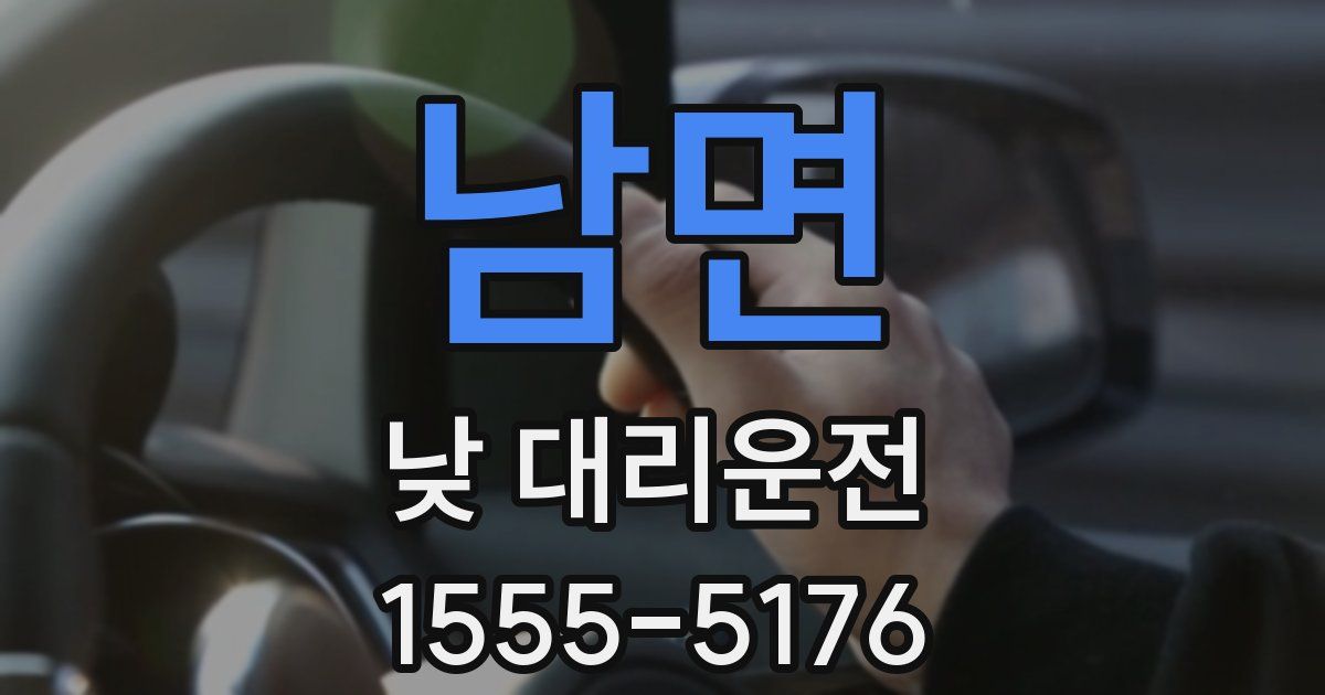 남면 낮 대리운전