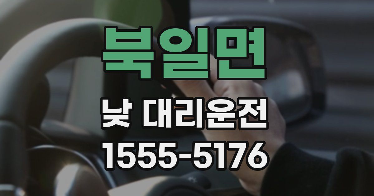 북일면 낮 대리운전