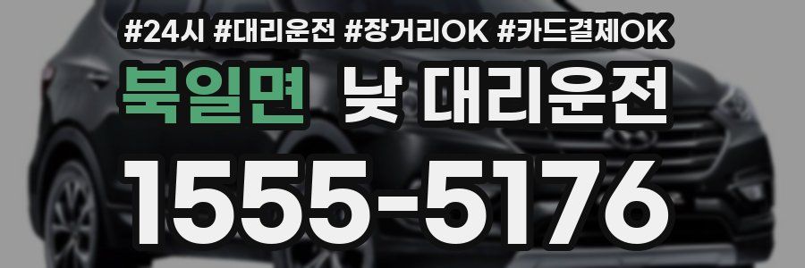 북일면 낮 대리운전