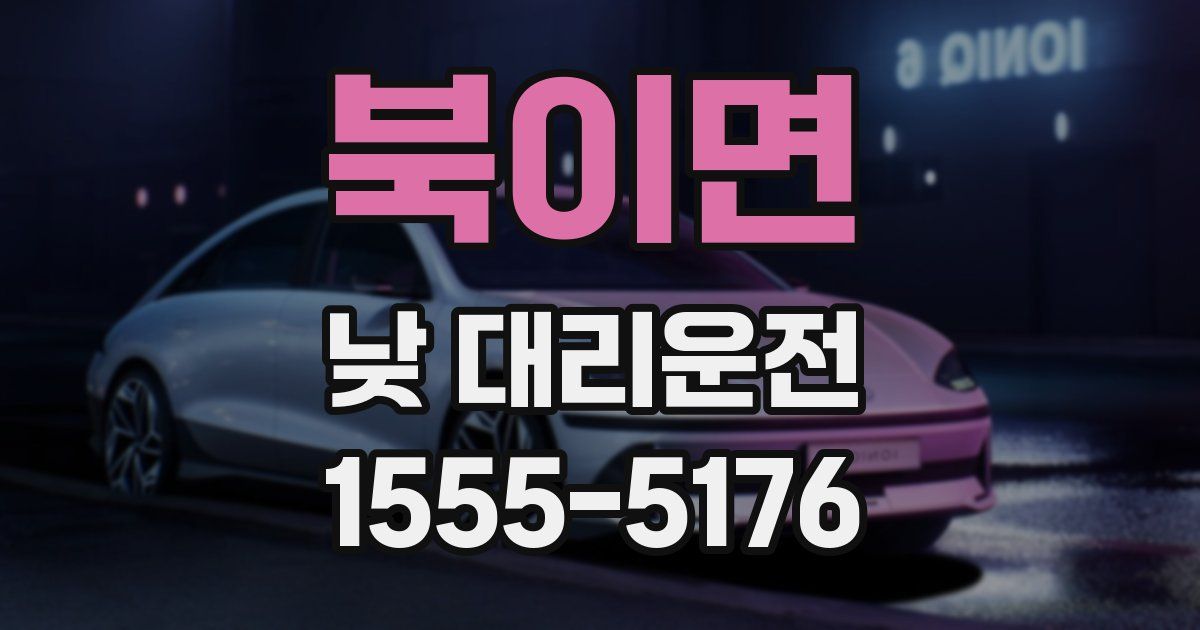 북이면 낮 대리운전