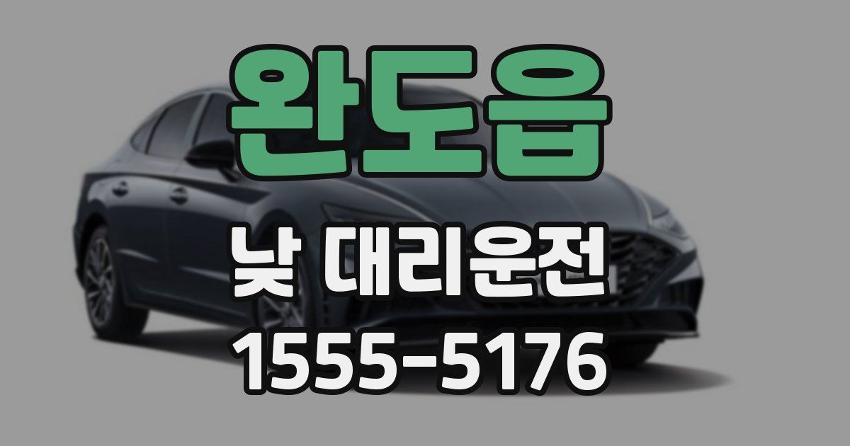 완도읍 낮 대리운전