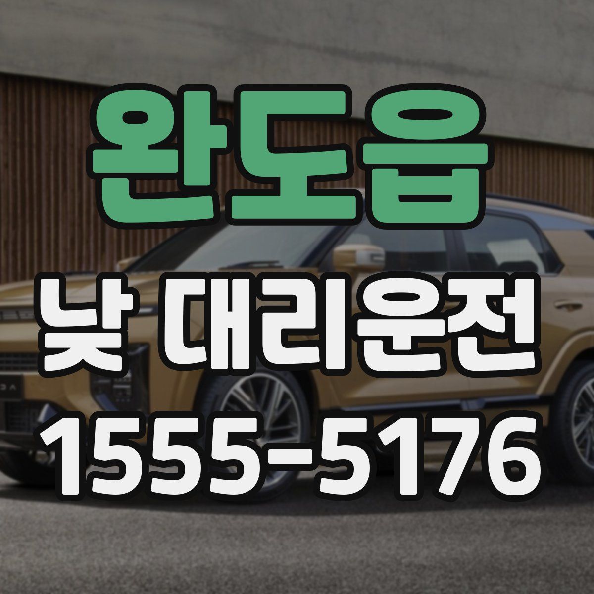 완도읍 낮 대리운전
