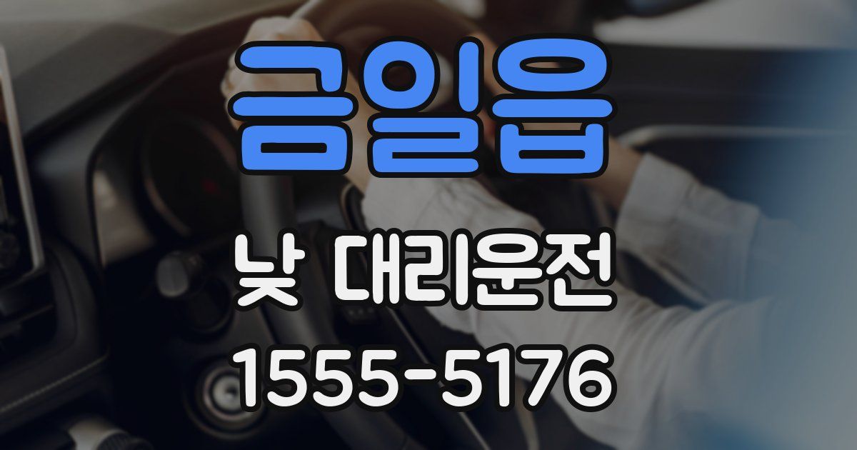 금일읍 낮 대리운전