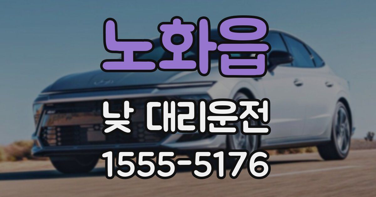 노화읍 낮 대리운전