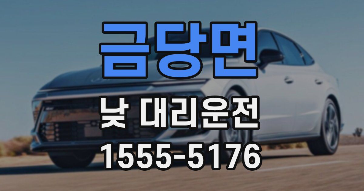 금당면 낮 대리운전