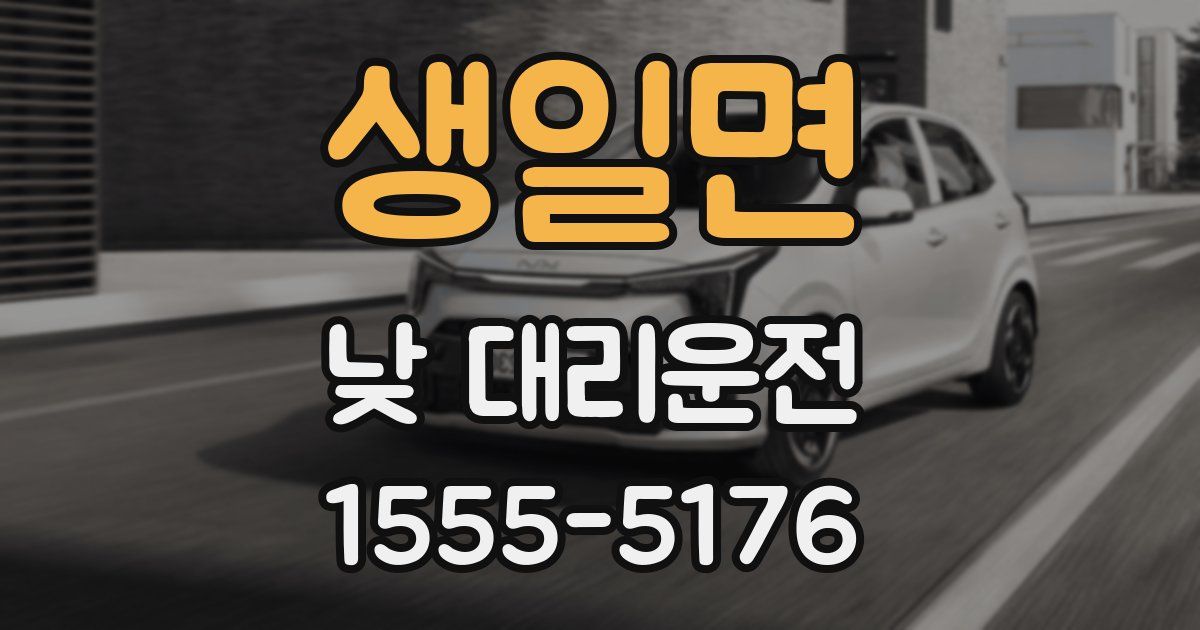 생일면 낮 대리운전