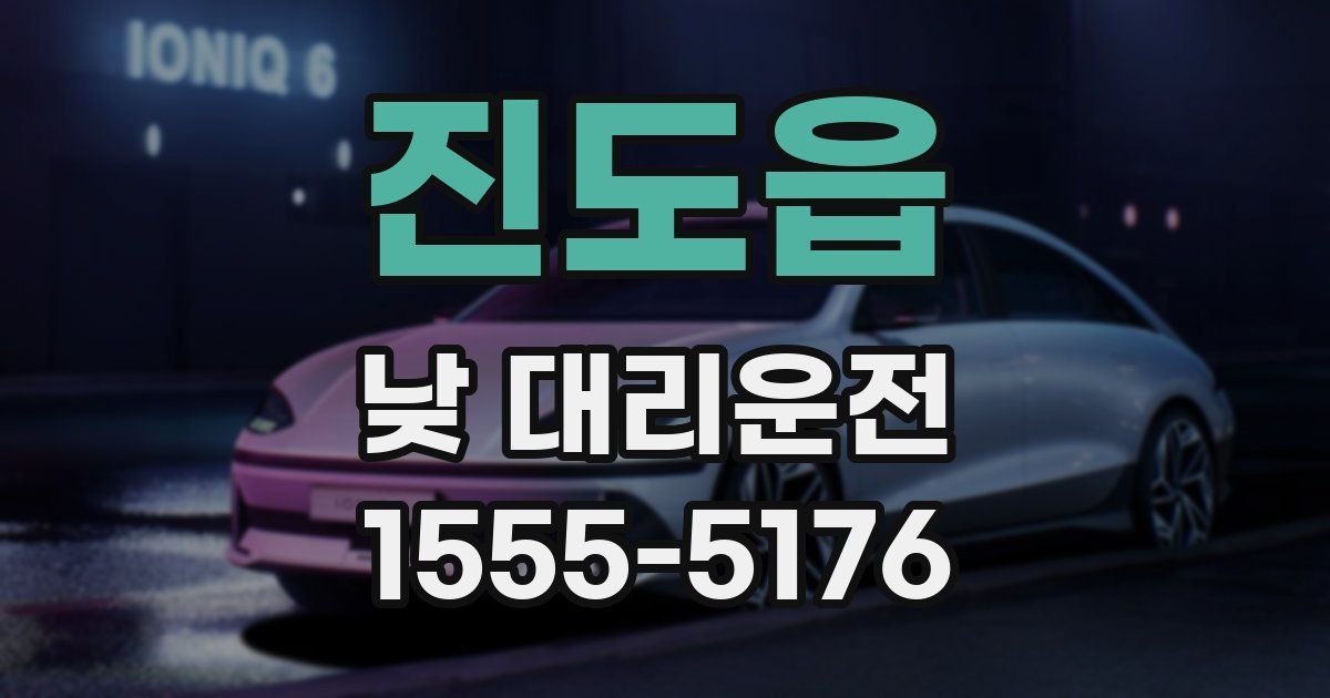 진도읍 낮 대리운전