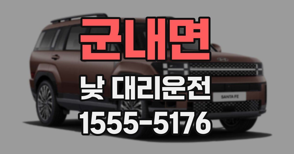 군내면 낮 대리운전