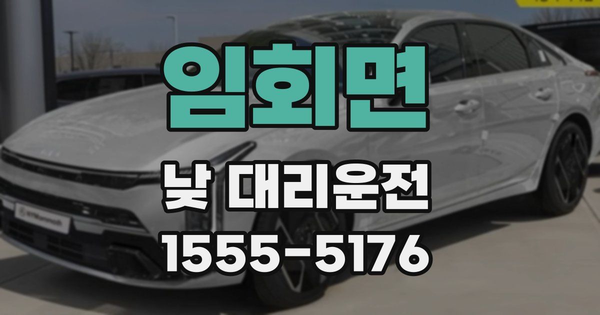 임회면 낮 대리운전