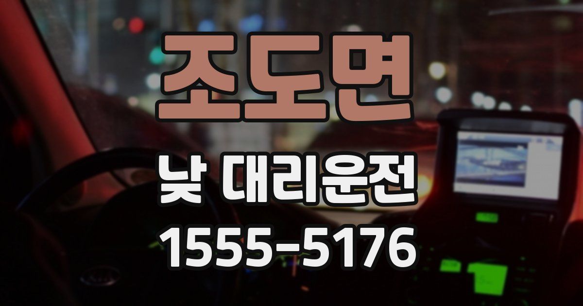 조도면 낮 대리운전