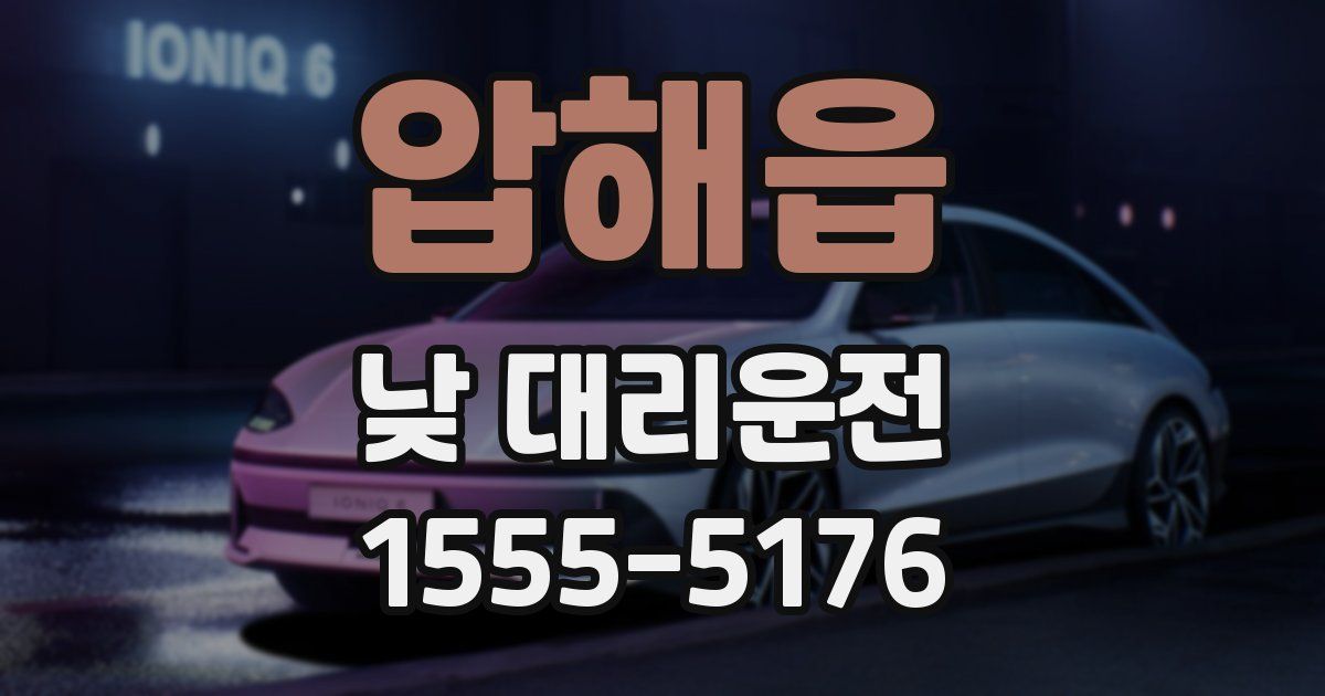 압해읍 낮 대리운전