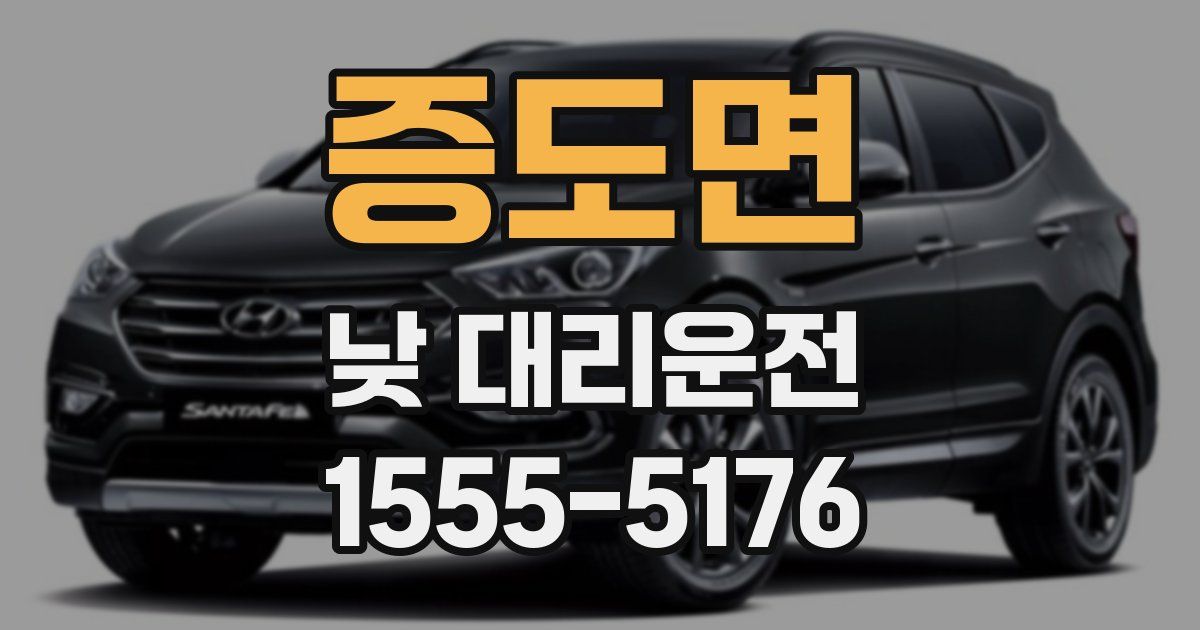 증도면 낮 대리운전