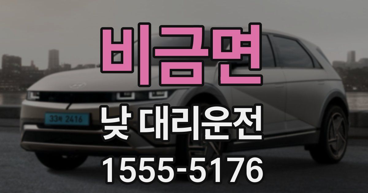 비금면 낮 대리운전